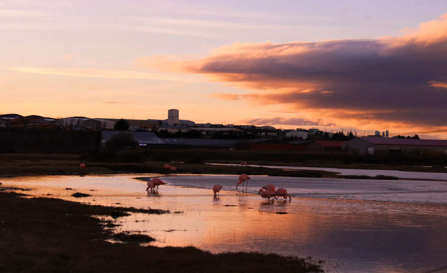 Punta Arenas cityscape along the Strait of Magellan